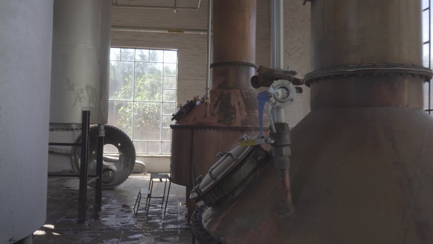 Copper pot stills at the Arandas distillery