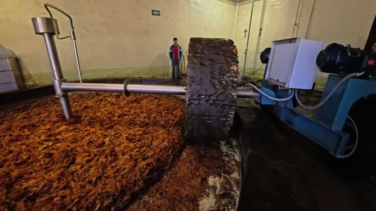 The distillery’s stone tahona crushing cooked agave